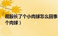 屁股长了个小肉球怎么回事（2024年07月11日屁股上长了个肉球）