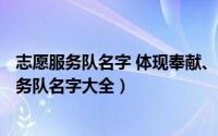 志愿服务队名字 体现奉献、互助（2024年07月11日志愿服务队名字大全）