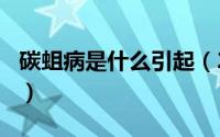 碳蛆病是什么引起（2024年07月11日碳蛆病）