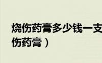 烧伤药膏多少钱一支?（2024年07月11日烧伤药膏）