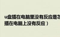 u盘插在电脑里没有反应是怎么回事（2024年07月13日u盘插在电脑上没有反应）