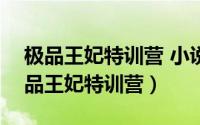 极品王妃特训营 小说（2024年07月13日极品王妃特训营）