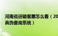 河南省运输客票怎么看（2024年07月14日河南省运输客票真伪查询系统）