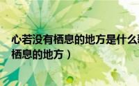 心若没有栖息的地方是什么歌（2024年07月14日心若没有栖息的地方）