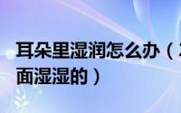 耳朵里湿润怎么办（2024年07月16日耳朵里面湿湿的）