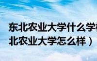 东北农业大学什么学校（2024年07月17日东北农业大学怎么样）