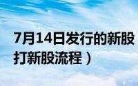 7月14日发行的新股（2024年07月17日如何打新股流程）