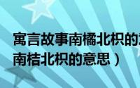 寓言故事南橘北枳的意思（2024年07月17日南桔北枳的意思）