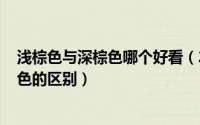 浅棕色与深棕色哪个好看（2024年07月17日浅棕色与深棕色的区别）