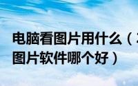 电脑看图片用什么（2024年07月18日电脑看图片软件哪个好）