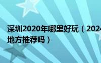 深圳2020年哪里好玩（2024年07月18日深圳有什么好玩的地方推荐吗）