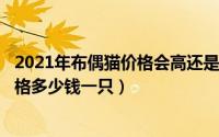 2021年布偶猫价格会高还是低（2024年07月18日布偶猫价格多少钱一只）