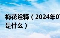 梅花诠释（2024年07月18日梅花的优秀品质是什么）