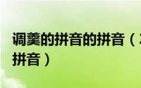 调羹的拼音的拼音（2024年07月19日调羹的拼音）