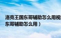 洛克王国东哥辅助怎么用视频（2024年07月19日洛克王国东哥辅助怎么用）