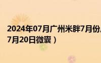 2024年07月广州米胖7月份广州市天气情况如何（2024年07月20日微囊）