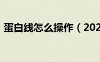 蛋白线怎么操作（2024年07月20日蛋白线）