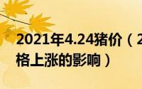 2021年4.24猪价（2024年07月21日猪肉价格上涨的影响）