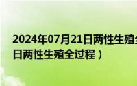 2024年07月21日两性生殖全过程是什么（2024年07月21日两性生殖全过程）