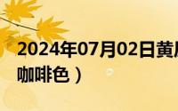 2024年07月02日黄历（2024年07月22日红咖啡色）