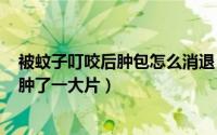 被蚊子叮咬后肿包怎么消退（2024年07月23日被蚊子咬了肿了一大片）