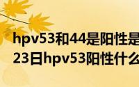 hpv53和44是阳性是什么意思（2024年07月23日hpv53阳性什么意思）