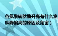 谷氨酰转肽酶升高有什么意义（2024年07月23日谷氨酰转肽酶偏高的原因及危害）