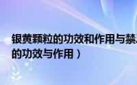 银黄颗粒的功效和作用与禁忌（2024年07月24日银黄颗粒的功效与作用）