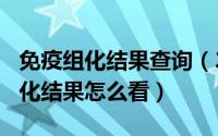 免疫组化结果查询（2024年07月24日免疫组化结果怎么看）