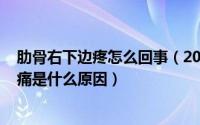 肋骨右下边疼怎么回事（2024年07月24日右侧肋骨下方疼痛是什么原因）