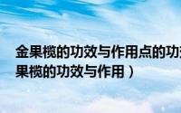 金果榄的功效与作用点的功效与作用（2024年07月24日金果榄的功效与作用）