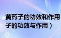 黄药子的功效和作用（2024年07月24日黄药子的功效与作用）