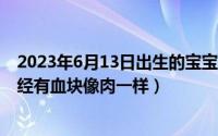 2023年6月13日出生的宝宝是什么命（2024年07月24日月经有血块像肉一样）