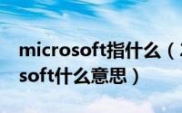 microsoft指什么（2024年07月24日microsoft什么意思）