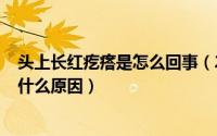 头上长红疙瘩是怎么回事（2024年07月25日头上长红疙瘩什么原因）