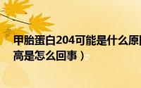 甲胎蛋白204可能是什么原因（2024年07月25日甲胎蛋白高是怎么回事）