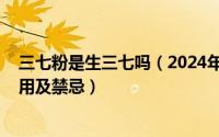 三七粉是生三七吗（2024年07月25日生三七粉的功效与作用及禁忌）