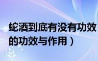 蛇酒到底有没有功效（2024年07月25日蛇酒的功效与作用）