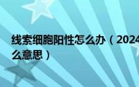 线索细胞阳性怎么办（2024年07月25日线索细胞阳性是什么意思）