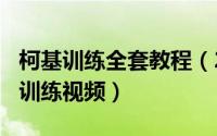 柯基训练全套教程（2024年07月28日柯基犬训练视频）