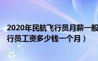 2020年民航飞行员月薪一般多少（2024年07月28日民航飞行员工资多少钱一个月）