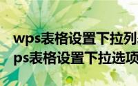 wps表格设置下拉列表（2024年07月30日wps表格设置下拉选项）