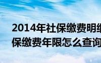 2014年社保缴费明细（2024年07月31日社保缴费年限怎么查询）