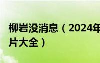 柳岩没消息（2024年08月01日柳岩不带罩图片大全）