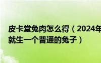 皮卡堂兔肉怎么得（2024年08月01日皮卡堂兔子怀孕怎么就生一个普通的兔子）