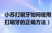 小苏打刷牙如何使用（2024年08月01日小苏打刷牙的正确方法）