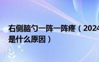 右侧脑勺一阵一阵疼（2024年08月02日右脑勺一阵一阵痛是什么原因）