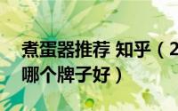 煮蛋器推荐 知乎（2024年08月02日煮蛋器哪个牌子好）