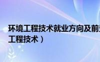 环境工程技术就业方向及前景分析（2024年08月03日环境工程技术）