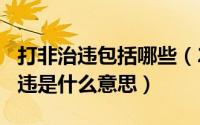 打非治违包括哪些（2024年08月03日打非治违是什么意思）